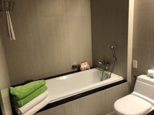 dvaree_bathroom