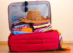 packed_case